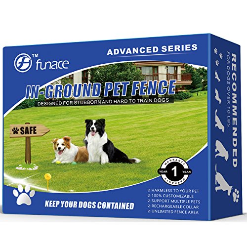 above ground dog fence reviews