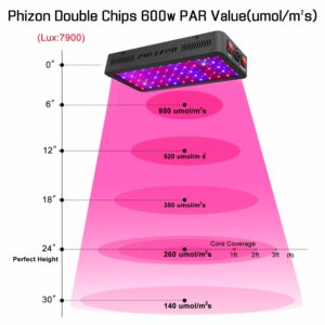 600w led grow light review