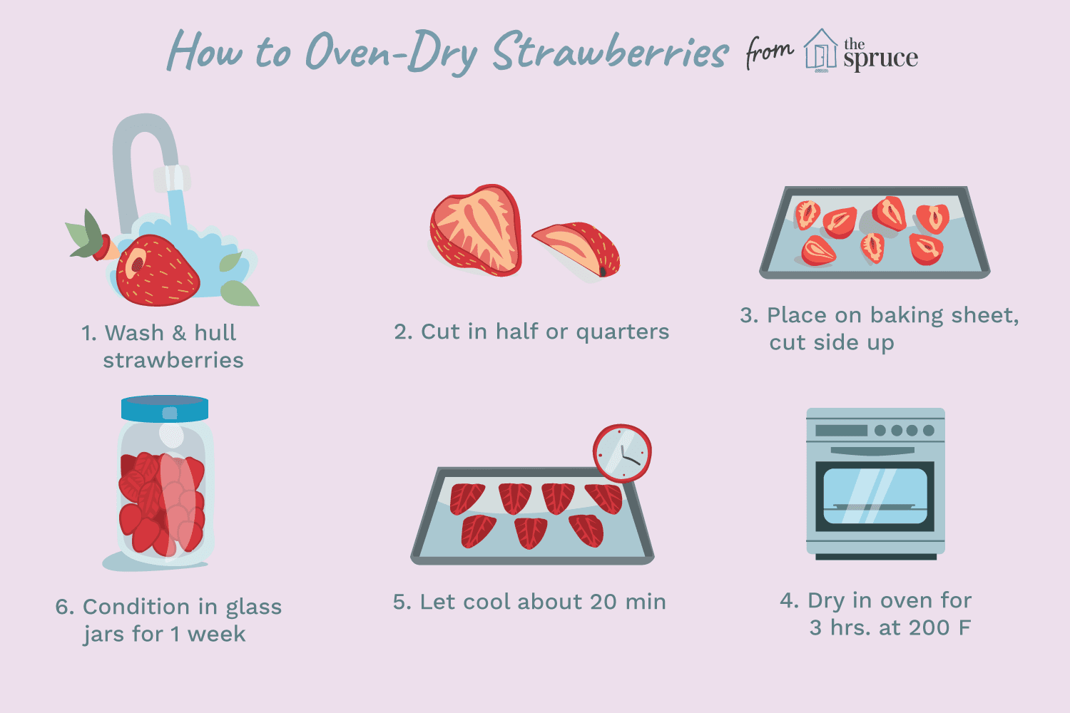 dried strawberries in oven review